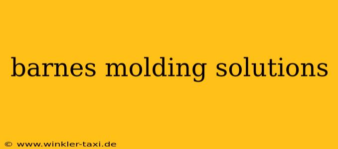barnes molding solutions