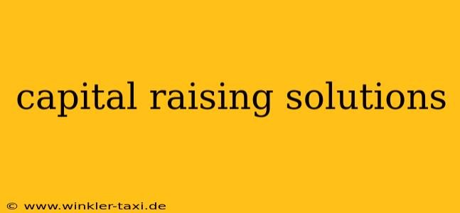 capital raising solutions