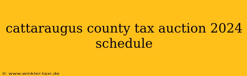 cattaraugus county tax auction 2024 schedule