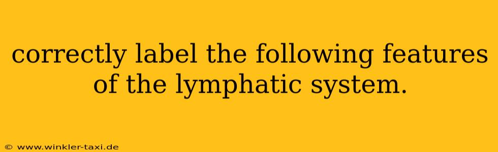 correctly label the following features of the lymphatic system.