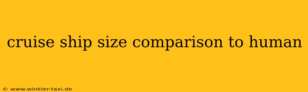 cruise ship size comparison to human