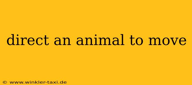 direct an animal to move