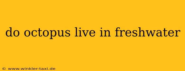 do octopus live in freshwater