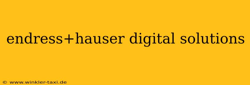 endress+hauser digital solutions