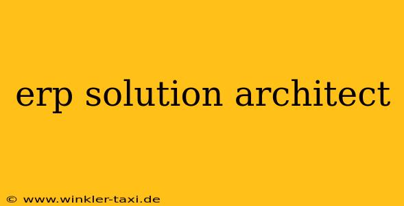 erp solution architect