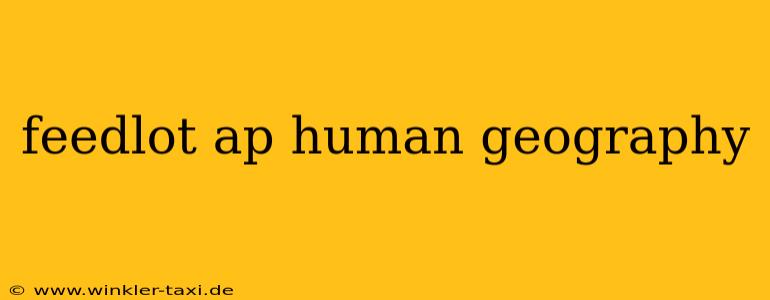 feedlot ap human geography