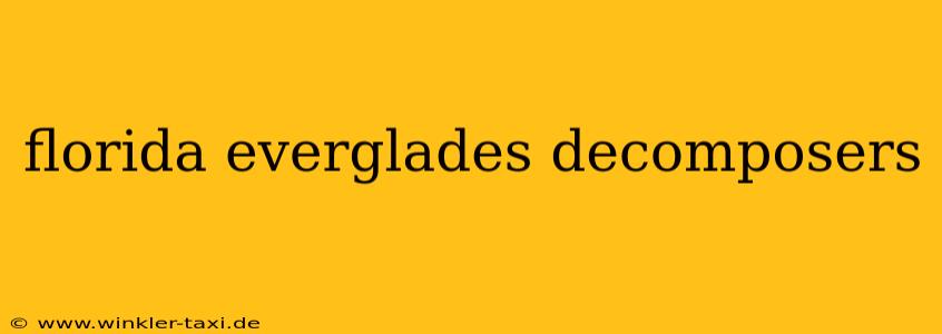 florida everglades decomposers