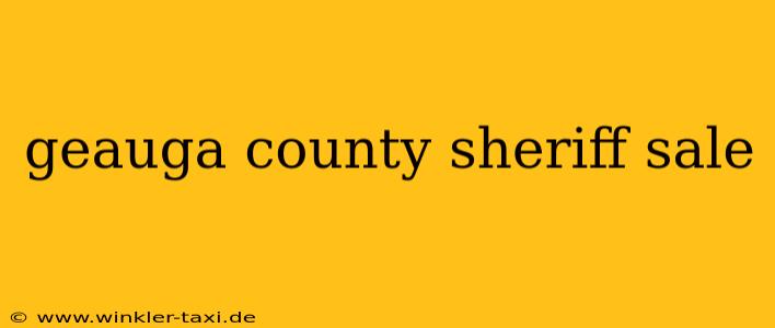 geauga county sheriff sale