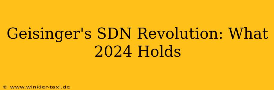 Geisinger's SDN Revolution: What 2024 Holds