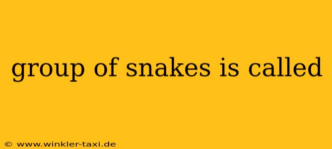 group of snakes is called