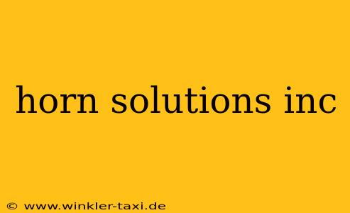 horn solutions inc