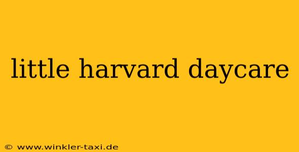 little harvard daycare
