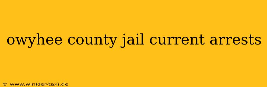 owyhee county jail current arrests