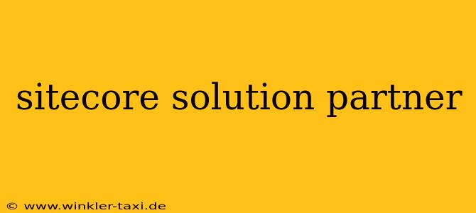 sitecore solution partner