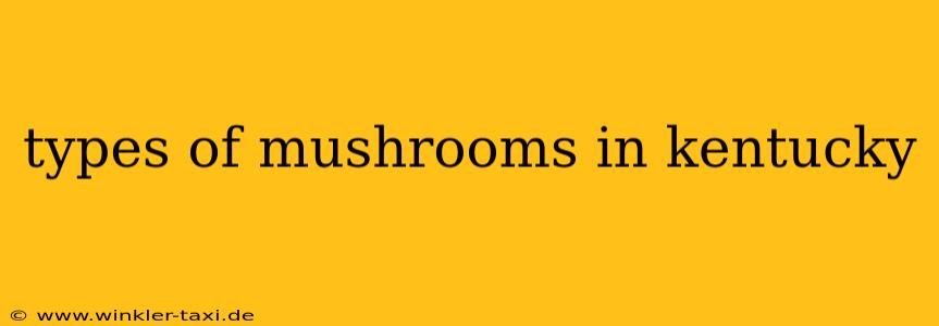 types of mushrooms in kentucky