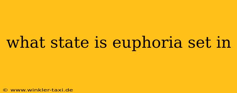 what state is euphoria set in