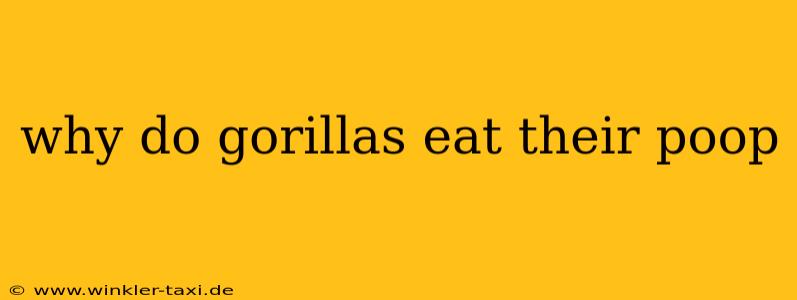why do gorillas eat their poop