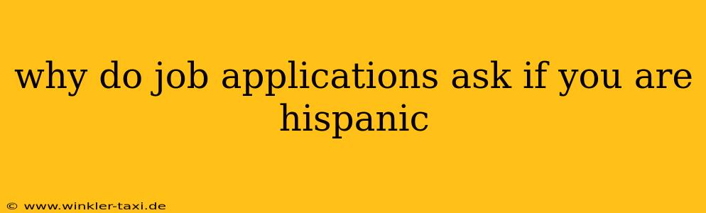 why do job applications ask if you are hispanic