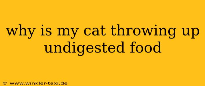 why is my cat throwing up undigested food
