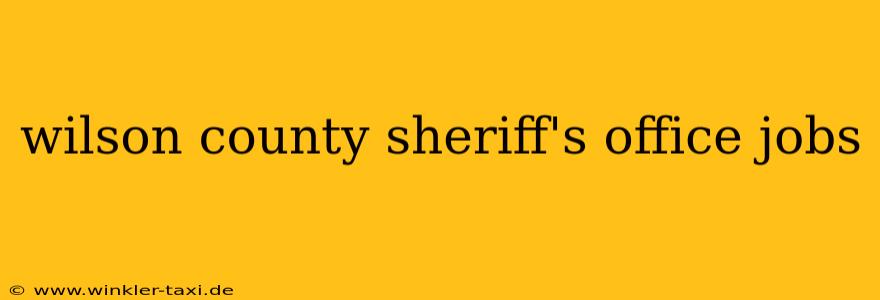 wilson county sheriff's office jobs