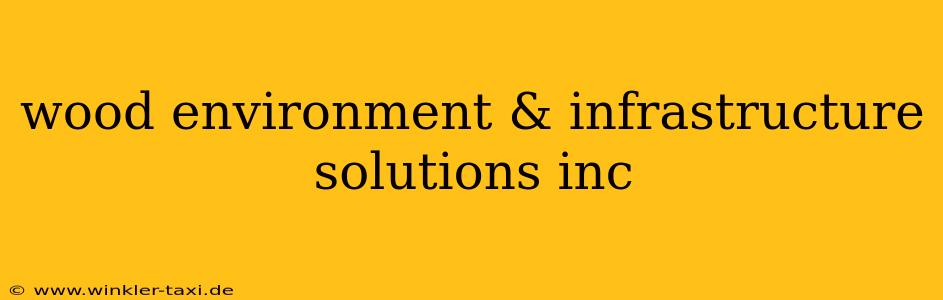 wood environment & infrastructure solutions inc