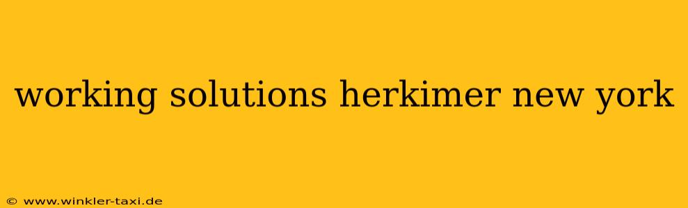 working solutions herkimer new york